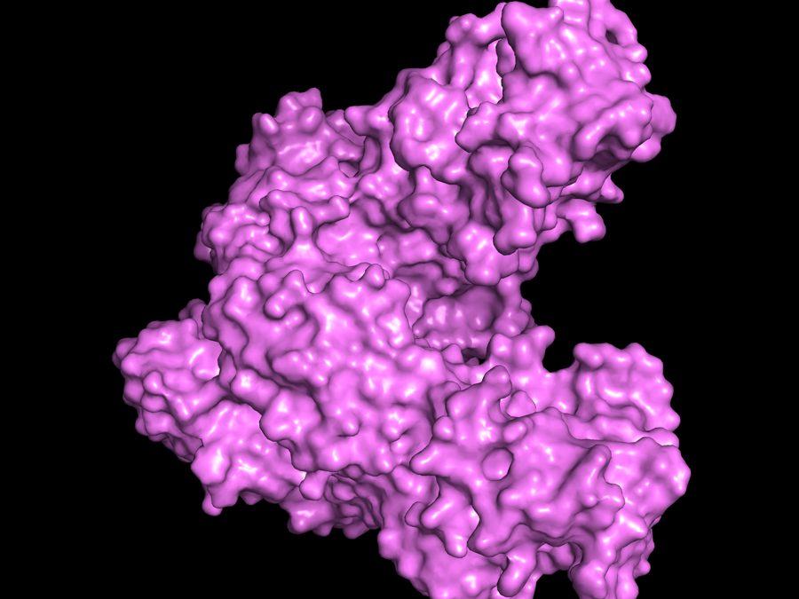 PyMOL surface rendering of a protein structure